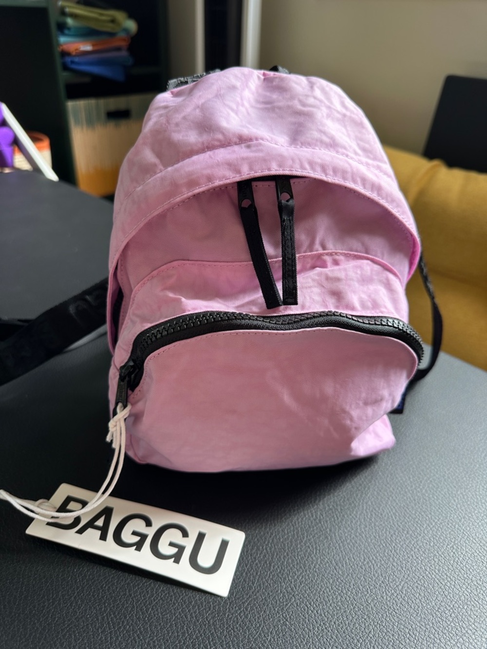 NWT Mini Nylon Backpack Peony Colorway